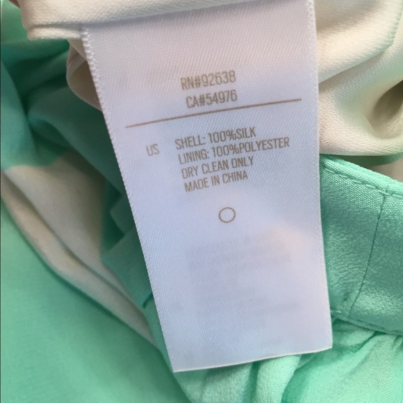 Fossil Daphne Mint & White Stripe Silk Skirt Sz 2 - Picture 5 of 6